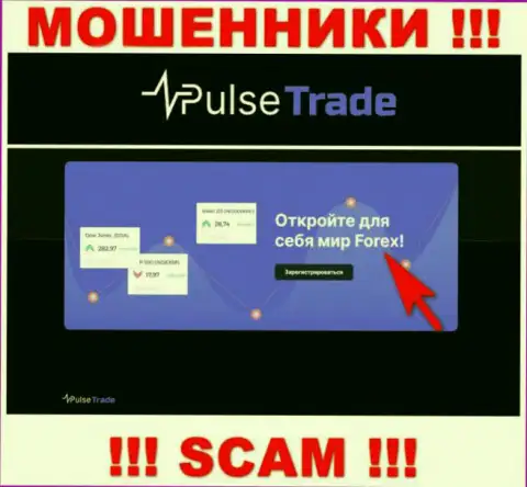 Pulse Trade, орудуя в сфере - ФОРЕКС, лишают денег своих клиентов