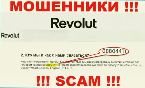 Будьте очень бдительны, наличие регистрационного номера у компании Revolut (08804411) может быть приманкой