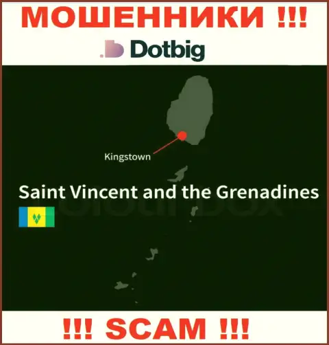 Дот Биг имеют оффшорную регистрацию: Kingstown, St. Vincent and the Grenadines - будьте бдительны, мошенники