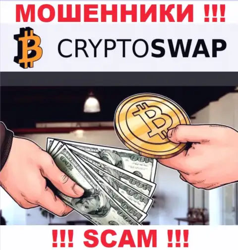 Слишком опасно верить Crypto Swap Net, оказывающим услугу в области Криптовалютный обменник