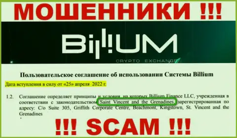 Организация Billium Finance LLC - это интернет мошенники, обосновались на территории St. Vincent and the Grenadines, а это оффшор