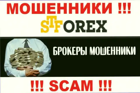 Ворюги STForex только задуривают мозги валютным трейдерам, обещая баснословную прибыль