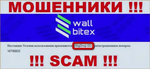 WallBitex - это МОШЕННИКИ !!! Руководит данным лохотроном БигДроп ОЮ