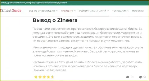Вывод в информационной статье об условиях торговли организации Zinnera, представленной на интернет-сервисе Profi Investor Com